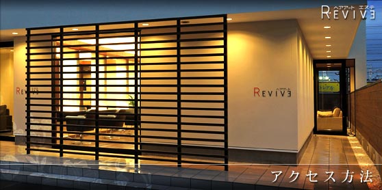 Ésc̔eGXe REVIVE ANZX@